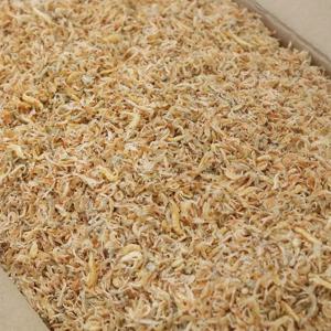 국산 햇 밥새우멸치 1.5kg 볶음용 아기 이유식 주먹밥 잔멸치 볶음