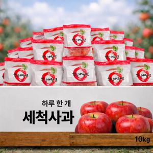 국산 세척사과(가정용) 꿀단맛 개별포장 산지 경북1.5kg 2kg 3kg 4kg 5kg