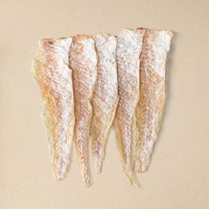 명태포 명태알포 건어물 맥주안주 간식