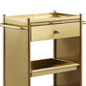 뷰티 살롱 트롤리 스테인리스 메탈 호스피탈리티 디자이너 살롱 트롤리 매니큐어 카리토 데 바 다기능 가구 Fg19