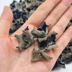 무농약 건목이버섯 L2cm이상 마라탕 마라샹궈 짬뽕 잡채볶음 무침