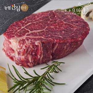 [구미우] 1++No.9 최고 등급 한우 안심 500g+500g 스테이크용 냉장