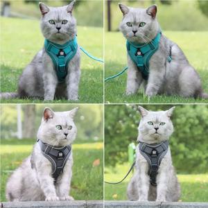 1.5m 리드줄 세트가 포함된 강아지 하네스, 당김 방지 조절 가능한 반사 및 통기성 하네스, 강아지와 고양이용