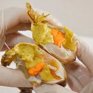 알배기 국내산 서해안 활 암꽃게 1kg(4-6미)
