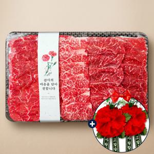 한우 1++ 투뿔 한우 마블링 구이 모둠 800g 한우선물세트 카네이션증정 부모님 한우선물
