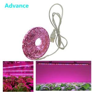 LED 성장 조명 풀 스펙트럼 USB 성장 조명 스트립, 2835 칩 LED 식물 램프, 식물 꽃 온실 수경 재배, 0.5m, 1m, 2m