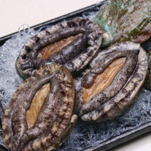 싱싱한 완도 활전복 살아있는 싱싱한 완도 전복