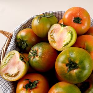 부산 대저토마토 2.5kg /L과
