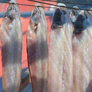 원양산 박대 반건조생선 박대구이 대짜(30cm내외) 2팩 총 10미