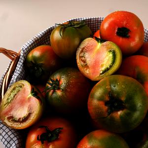 부산 대저짭짤이토마토 2.5kg / 정품 S~2S과