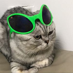 (4개입) (엘리언 선글라스) 파티 선글라스 안경 생일 소품 인싸 인생네컷 놀이공원 할로윈 이벤트 용품