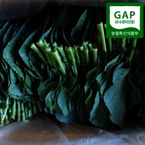 신선한 쌈채소 케일 쌈용케일 1kg 당일수확 산지직송