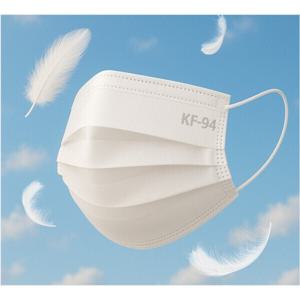 국내생산 덴탈 KF94마스크 대형 50매 흰색 추천 가성비 마스크