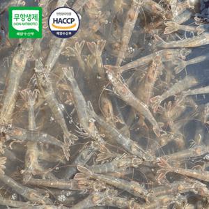 국내산 무항생제 인증 친환경 제철 급냉 왕새우 1kg
