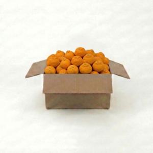 프리미엄 카라향 중과 10kg 새콤달콤