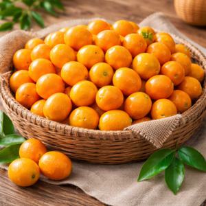 제주 금귤 낑깡 신선과일 상큼한 제철 감귤류 소과일 가정용 간식용 차용 청용 생과일 선별출고