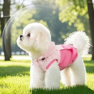 강아지옷 바람막이 우비 소형견 봄옷 봄신상 할인 행사 진행중