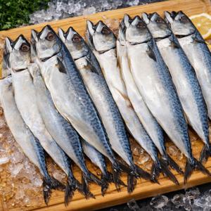 국산 자반 고등어 5미+5미 총10미 중대