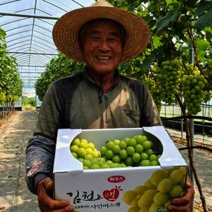 샤인머스켓 포도 2kg (3~5수) 타업체 2.7kg 수준 저희는 실중량 배송합니다.