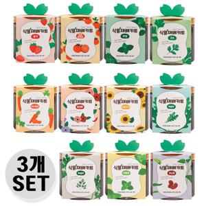 1+1+1 씨앗 식물재배키트 딸기 미니당근 방울토마토 루꼴라 바질 (10type)