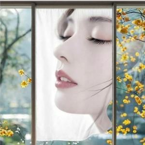 인테리어 문발 가림막 가리개 패브릭포스터 방문가림막 방문가리개 주방커튼 얼굴포스터 좋은제품+사은품