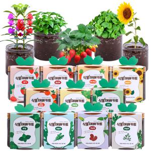 가정용 식물 재배 키트 셀프 새싹 씨앗 채소 과일 방울토마토 딸기 고수 바질 꽃 키우기 체험