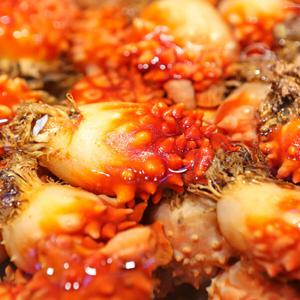 통영 산지직송 활멍게 2kg 14~24미 / 26년산