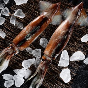 (신선집중) 자연산 손질오징어 통 오징어 10미 (350gx5팩) 1750g 원양산