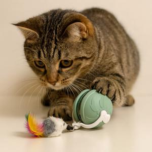 MAAH 고양이 새소리나는 레이저 발광 자동 장난감 스마트볼 레이저+새소리+자동장난감