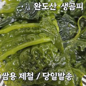 완도 생곰피미역 쌈용 제철 생물 생미역 당일채취 산지직송 제철 한정 수확 / 24시간 이내 선별 발송