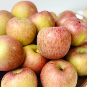 국내산 안동 가정용 부사 사과 5kg