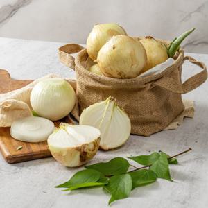 푸드빌리지 양파 햇양파 2026 하우스 햇양파 10kg (소) 110g내외