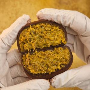 (10% 쿠폰)두바이 쫀득 쿠키 10개 두쫀쿠 버터떡 입점기념 행사 할인