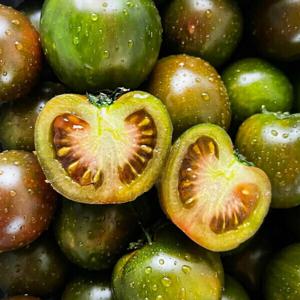 (런칭특가)국내산 흑토마토 쿠마토 프리미엄 2kg