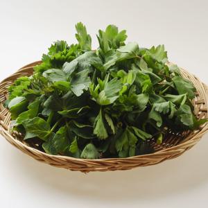 해풍맞고 자란 금오도 방풍나물 1kg