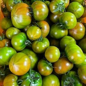 대저토마토  (L~2L) 2.5kg