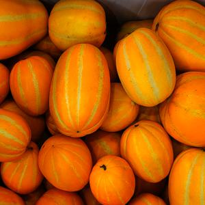 산지직송 성주 꿀 참외 초고당도  고당도 가정용 로얄과 꿀참외 2kg (6-8과)