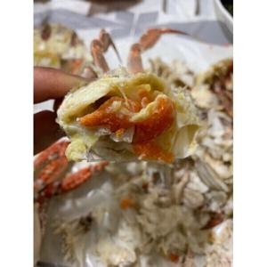 봄 알베기 암꽃게 1kg (3~5미) 봄 알베기 암꽃게