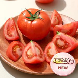 (품질보증) 산지직송 정품과 완숙토마토 5KG 당일수확 유럽종