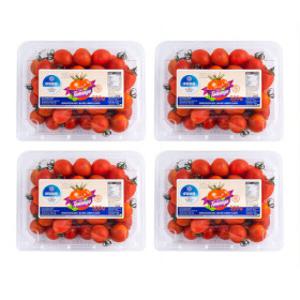 달콤한 토망고 2kg (500g x4팩) 스테비아 대추방울토마토 일반/망고향/청포도향