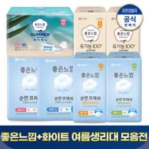 여름생리대 모음전 / 좋은느낌 화이트 (팬티라이너/탐폰/썸머패드/스테이쿨/중형/대형/입는오버나이트)