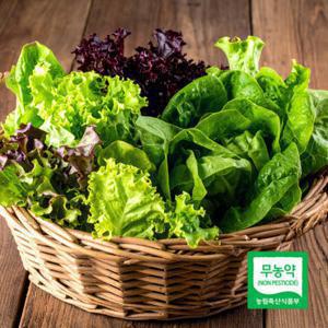 당일수확 무농약 수경재배 유러피안 샐러드 채소 1.2kg 랜덤 3-7종
