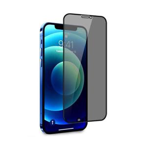 강화유리 아이폰 12 mini 프라이버시 화면보호필름