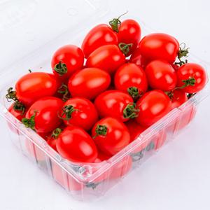 대추방울토마토 750g x 1팩