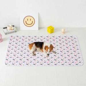 아임펫벳 강아지 배변 애견 미끄럼방지 매트 방수 패드 배변판 50*35Cm