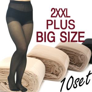 2XL빅사이즈팬티스타킹 10매/다리긴학생스타킹
