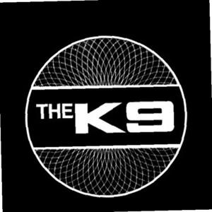 더K9 매립형 LED 도어 라이트 2P 세트 자동차 용품