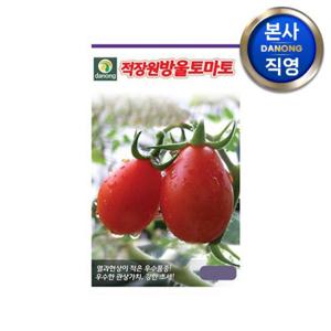 적장원 방울 토마토 씨앗 50립 . 마유 대추형 야채 채소 씨 종자 텃밭 재배.
