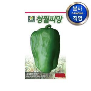 청월 피망 고추 씨앗 30립 . 야채 채소 키우기 텃밭 주말 농장 양채류 씨 종자.