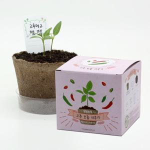 꼬마농부의 첫걸음 팜팜농장 고추 모종키우기